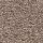 Mohawk Carpet: Treasure Valley Mesquite Chip